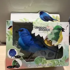 新品　小鳥センサー付き　童謡6曲鳴き声6パターン