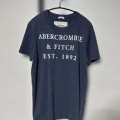 Abercrombie & Fitch Muscle T-Shirt ネイビー
