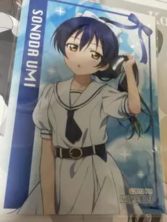 ラブライブ　μ's マリンコレクション　特典　ブロマイド　園田海未