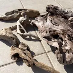 Item thumbnail for item 29e6dd3a-f382-4828-995c-6611a1b19812