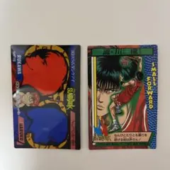 #希少# スラムダンク　ロッテ　カード　流川楓　トレカ　カードダス