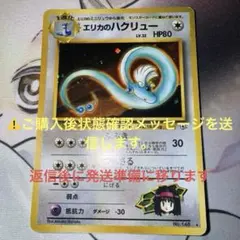 エリカのハクリュー ★ ジム拡張第1弾 リーダーズスタジアム