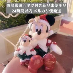 ディズニー クリスマス 2025 ミニー ぬいぐるみ ぬいぐるみバッジ ぬいば