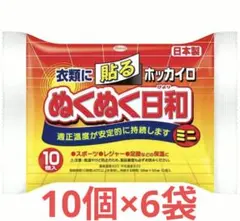 興和 ぬくぬく日和 貼るカイロ ミニ 10個入×6袋セット