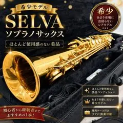 美品 SELVA ソプラノサックス 希少 ケース付 ゴールド 管楽器 美品 SELVA ソプラノサックス 希少 ケース付 ゴールド 管楽器 - メルカリ
