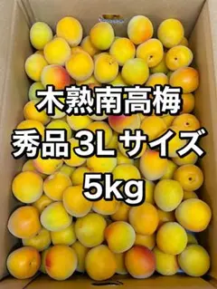 香りのいい‼️和歌山県産 木熟南高梅 3Lサイズ 3kg みかんキング