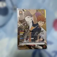 庵野水晶 プロモ 2枚 ドラゴン娘 ドラ娘 - メルカリ