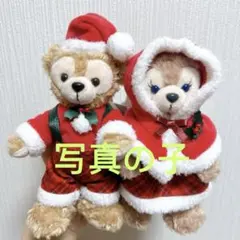 写真の子　ダッフィーシェリーメイぬいぐるみ2点セット　ダンシングスノーフレークス