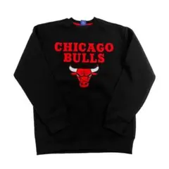 ULTRA GAME x NBA シカゴ ブルズ 刺繍 トレーナー M