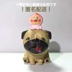 こびとづかん おすわりマスコット4 シークレット ガチャガチャ