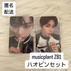 ZB1 ゼベワン トレカ ヨントン musicplant キャンディ ハオビン