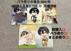 めろんぱーかー かもめ kamome ブロマイド