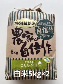 宮崎産「こしひかり」昨年収穫の自家用米 10キロ - メルカリ