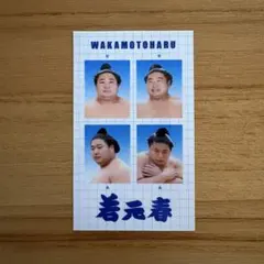 2026年最新】証明写真風シール 相撲の人気アイテム - メルカリ