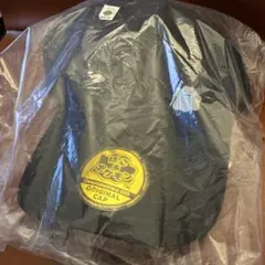 ぽこあポケモン　キャップ　エディオン特典