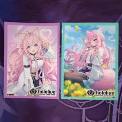 栃木の親方様 リクエスト 2点 まとめ商品