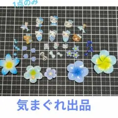 デコレーション プルメリア ハイビスカス 日焼けキティ ガングロ