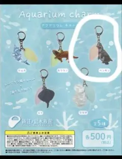 水江建太 いのししのウリ君アクリルキーホルダー - メルカリ