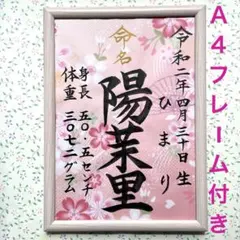 手書きオーダー命名書　命名紙　代筆　出産祝い　記念品　フレーム付　匿名配送