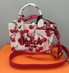 2026年最新】coach チェリー バッグの人気アイテム - メルカリ