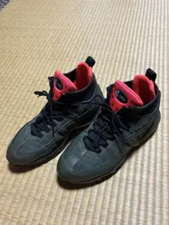 NIKE AIR JORDAN 7 RAPTOR28.5cm130014-060 - メルカリ