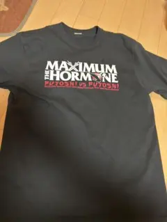 Item thumbnail for item f34e23e7-affb-4aef-b42e-21c2a5211938