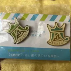 ARASHI 10-11 TOUR ピンバッジ 2個セット