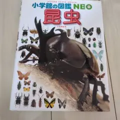 小学館の図鑑neo　昆虫