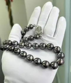 特別値下げ中　黒蝶真珠ネックレス　ブラックパール　タヒチ　グラデーション　SV