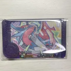 ポケモンフレンダ　スーパートレジャー　ボーマンダ