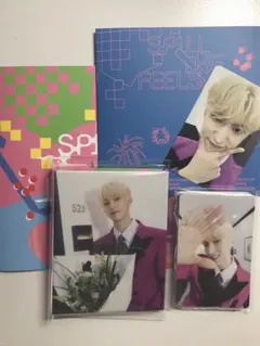 seventeen SPILL THE FEELS  DK carat盤