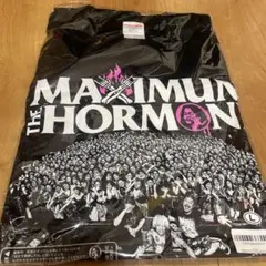 マキシマム ザ ホルモン 地獄絵図 平成一桁ガチBBA Tシャツ Sサイズ マキシマム ザ ホルモン 地獄絵図 Tシャツ - メルカリ