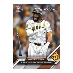 タティスjr スポーツカード