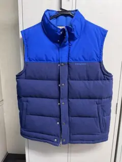 【廃盤】patagonia ダウンベスト メンズ