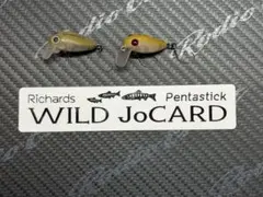 ディープパラドックス　ガブ　ムカイ　スマッシュ　吉やオリカラ　緑龍のサムネイル