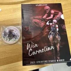 JRA-VAN クリアファイル　レースプラグラム コースター 3点セット