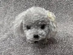 プードル ポンポンぬいぐるみ