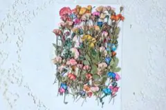 押し花訳ありミニバラ100輪