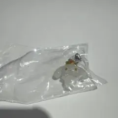 JOCHUM めじるしアクセサリー　RURU 白岩瑠姫