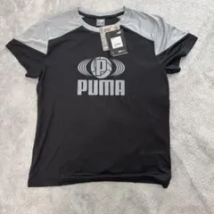 プーマ 160 タグ付き新品