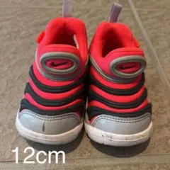 NIKE ナイキ ダイナモフリー