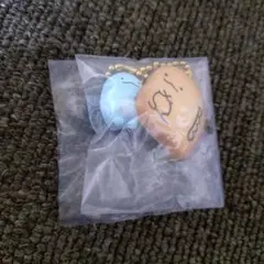 すみっコぐらし　ビスケットチャーム　とかげ
