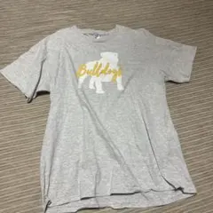 Item thumbnail for item a0ad0487-792c-40fb-b87f-4a0f2cfe6f48