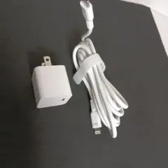 USB-C充電器 ホワイト 約1メートル　アイパッド第8世代充電ケーブル