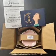 新品未使用　サントリー　金麦花やか皿　5枚セット4月.7月.９月.10月.11月