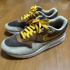 nike ナイキ エアマックス1 ダックパック