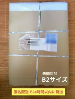 中古・美品】ビジョナップ（Visionup）ビジョントレーニングメガネ
