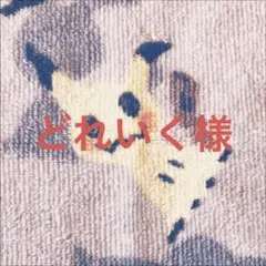 遊戯王 黒魔導 ブラックマジシャン フルコンプ