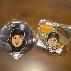 ジャイアンツ 甲斐拓也 巨人 キーホルダー 缶バッジ ガチャ