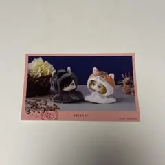 ハイキュー るかっぷ ポストカード